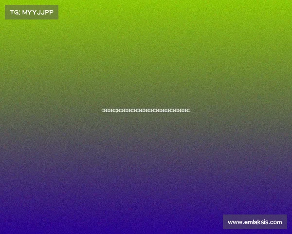 纽伦堡队赛事;纽伦堡队德乙联赛赛事全盘点关键比赛解析球队动态与未来挑战展望