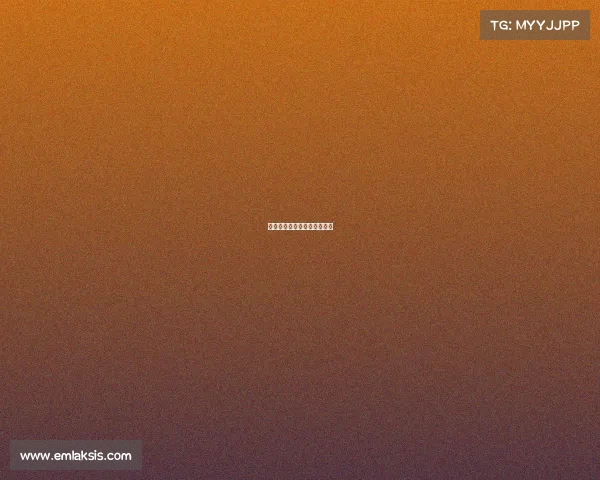 赛事总统—美国总统竞选大赛